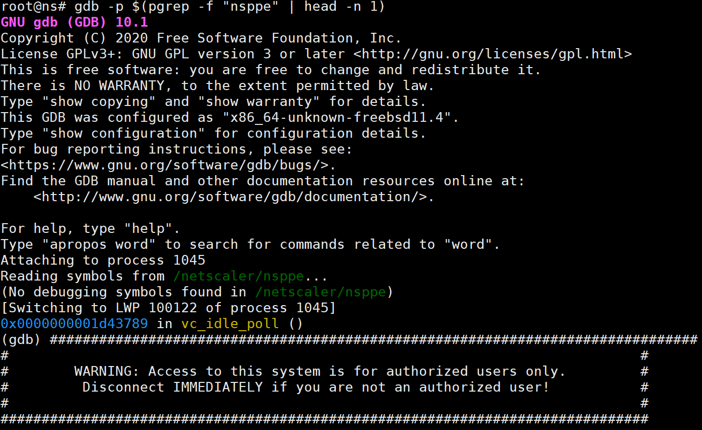 通过 GDB 附加 nsppe